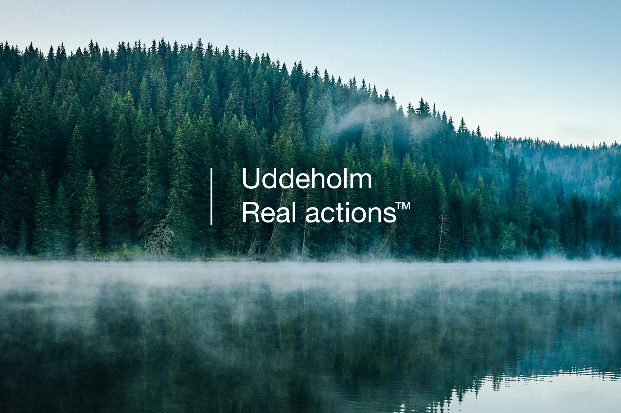 Morning fog over a beautiful lake surrounded by pine forest stock photo